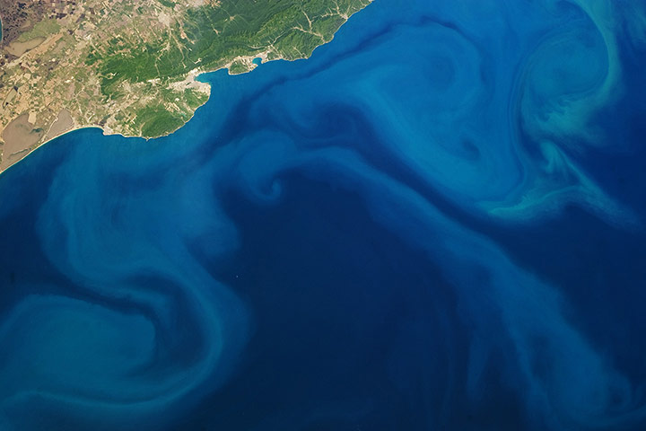 Satellite Eye on Earth: Plankton Bloom, Black Sea