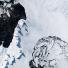 Satellite Eye on Earth: A portion of the Wilkins Ice Shelf on the Antarctic Peninsula
