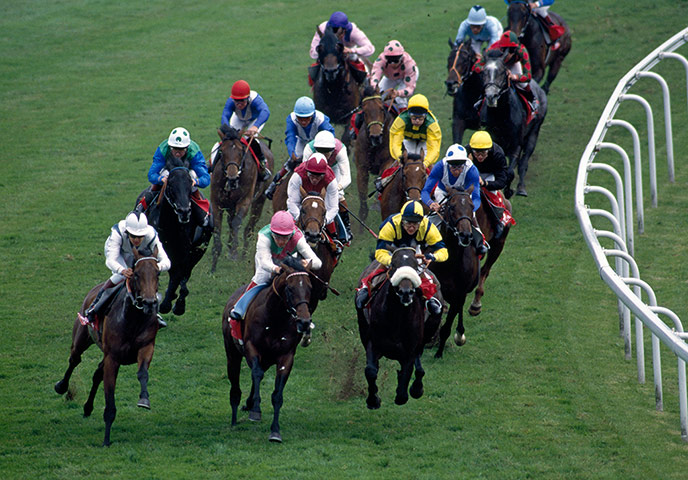 Henry Cecil: Commander in Chief