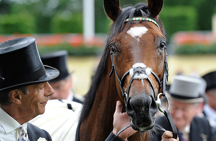 Henry Cecil: Henry Cecil and Frankel