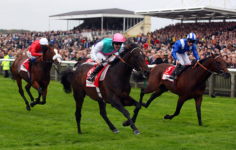 Henry Cecil: Tom Queally and Twice Over win the Airline stakes
