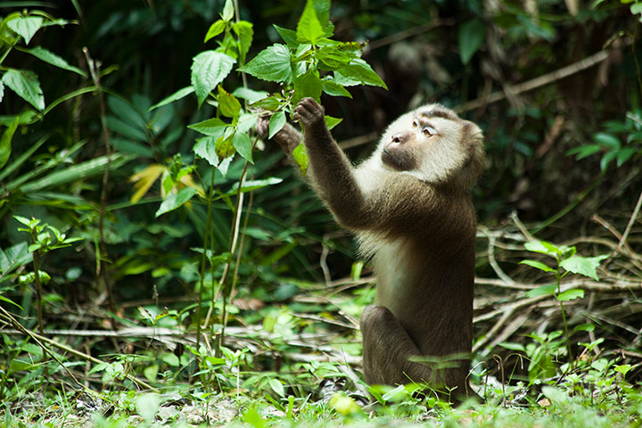 Thailand 12 must-see: Explore Khao Yai national park, Nakhon Nayok