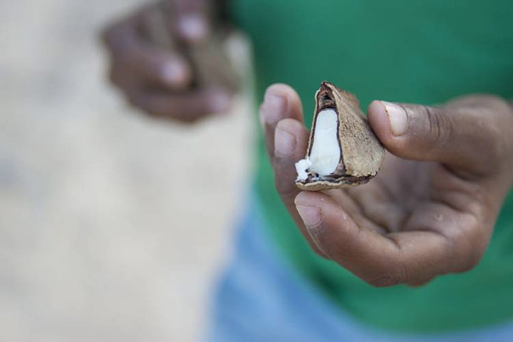 Quilombola and land rights