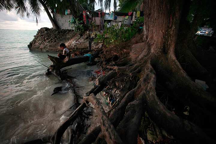 Kiribati, Pacific island: A girl sits on a log next to the roots of a tree, which have been exposed a
