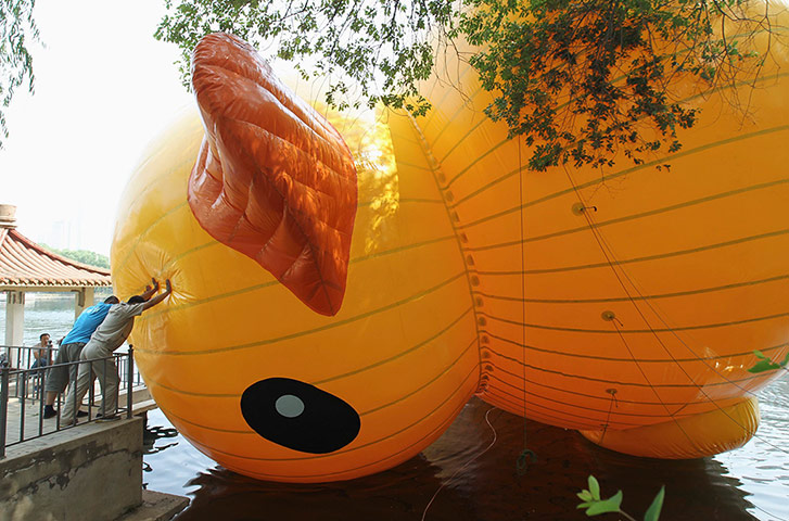 Rubber duck: People try to push a scaled replica of the duck 