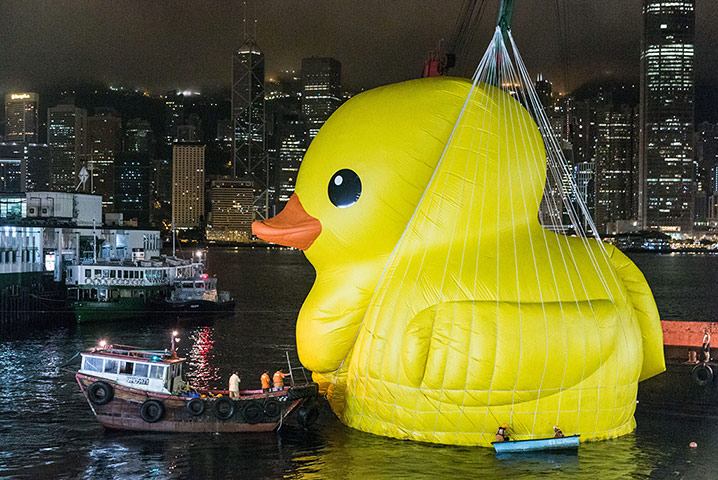 Rubber duck: The duck is removed from Hong Kong harbour