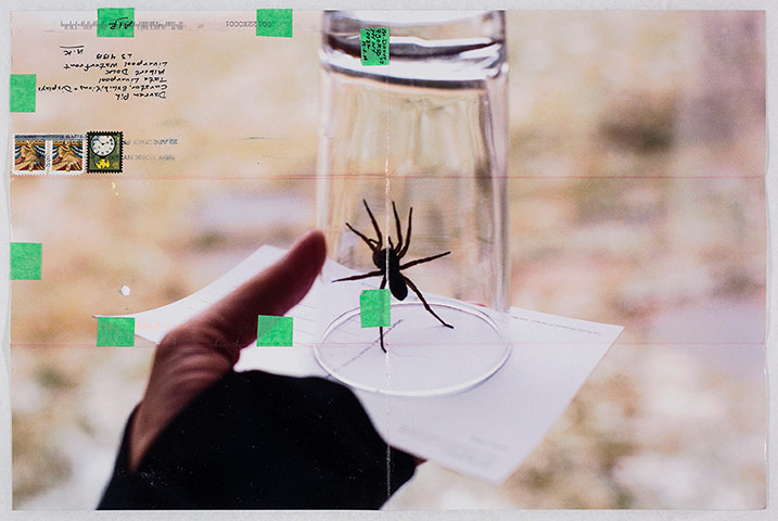 Exhibitionist1506: Moyra Davey: Hangmen Of England