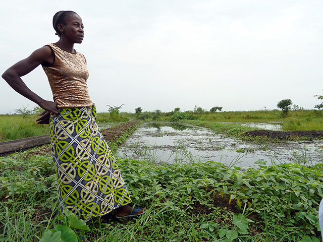 Congo: Chiwetel Ejiofor in Congo