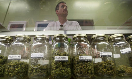 Medical marijuana dispensary in Los Angeles