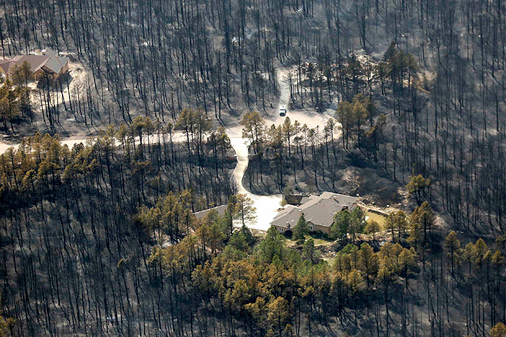 Colorado wildfires: black forest
