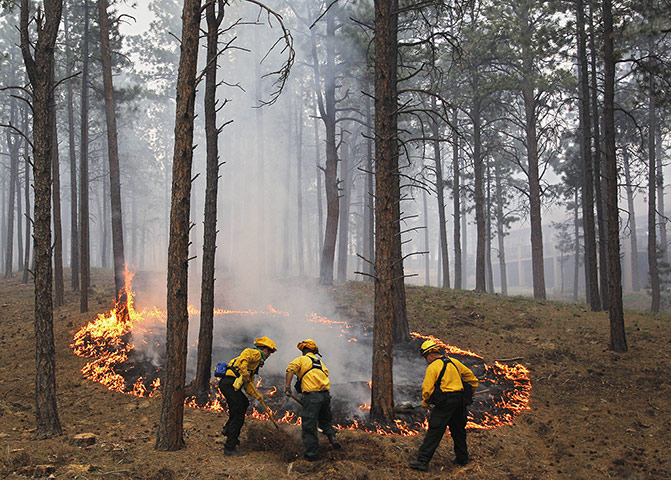 20 Photos: Fire officers burn off natural ground fuel in Colorado Springs