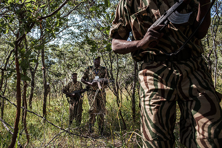 original observer: Wildlife police force #1