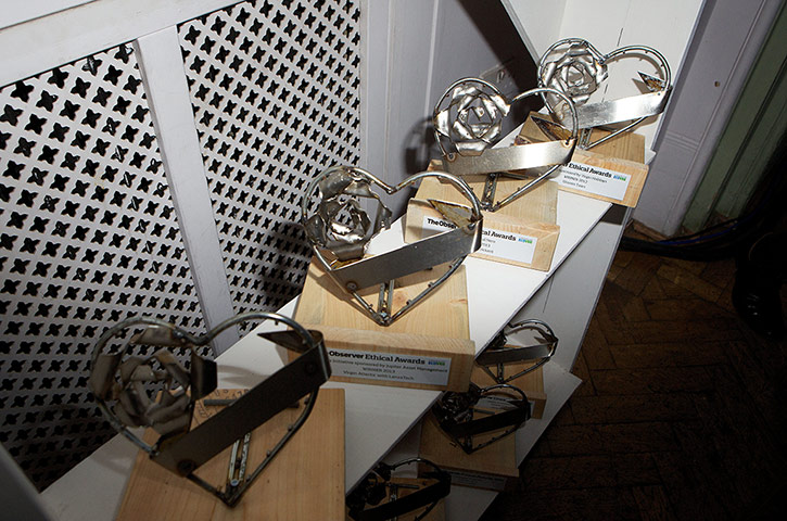 Ethical Awards: The trophies - designed by artist Ptolemy Elrington