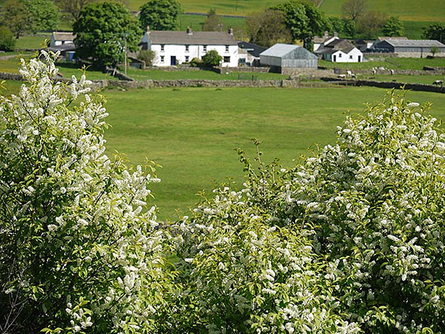 Green Shoots: May 2013 about hedgerows