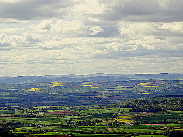Green Shoots: May 2013 about hedgerows