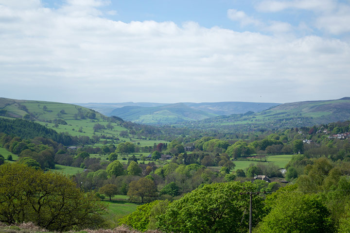 Green Shoots: May 2013 about hedgerows