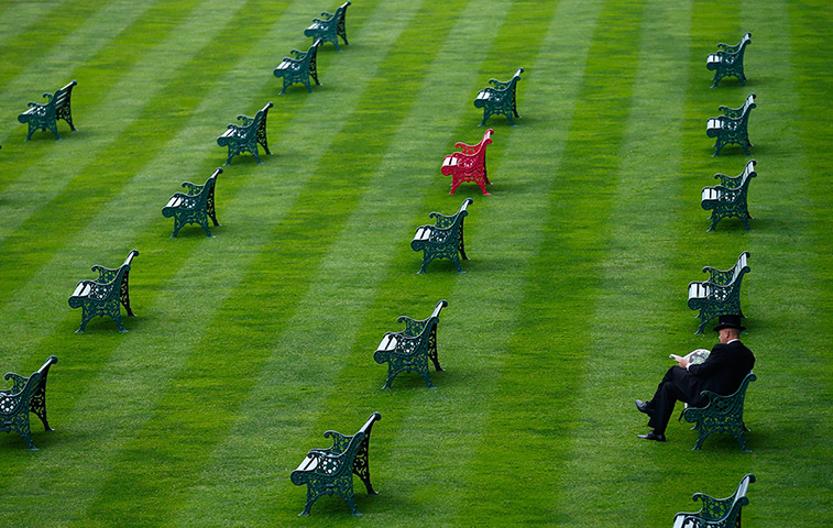 Ascot day one: A man reads a newspaper in the Royal Enclosure