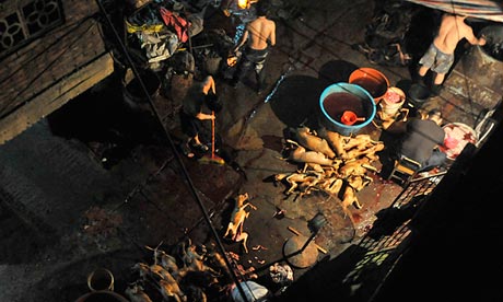 Dog meat being prepared for sale in Yulin, Guangxi province