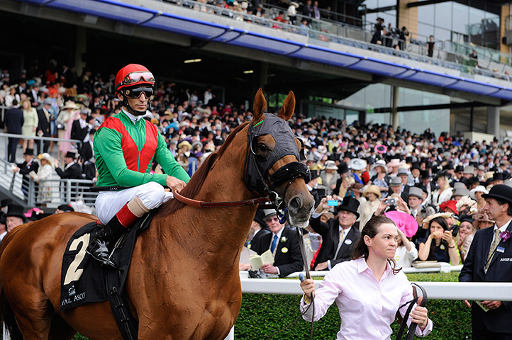 Tom Jenkins's Ascot Day 1: Animal Kingdom is led out for the first race