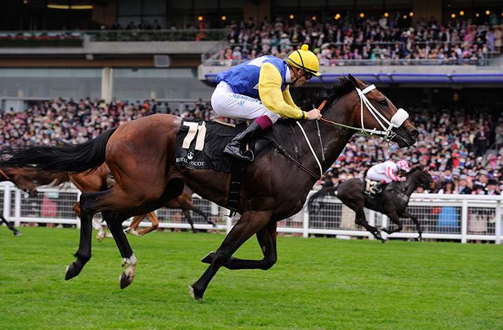 Tom Jenkins's Ascot Day 1: Shea Shea is just beaten by Sole Power 