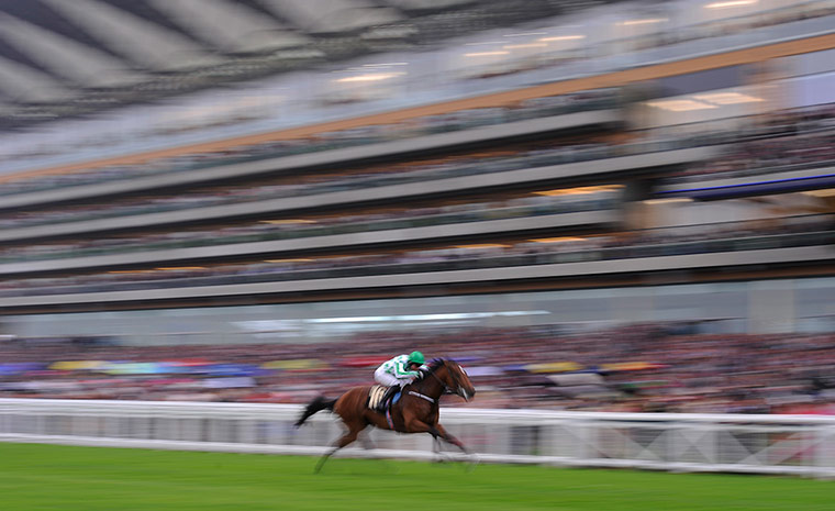 Tom Jenkins's Ascot Day 1: War Command goes well clear to win the 4th race 