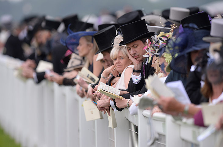 Tom Jenkins's Ascot Day 1: Studying the form 