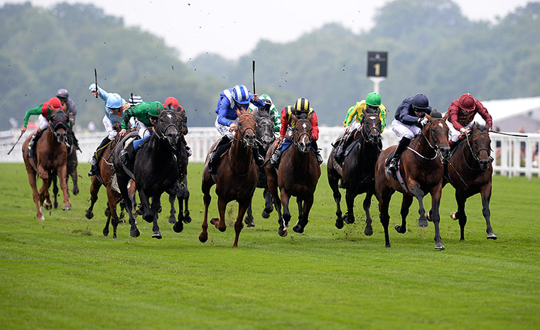 Tom Jenkins's Ascot Day 1: Animal Kingdom trails behind the leaders