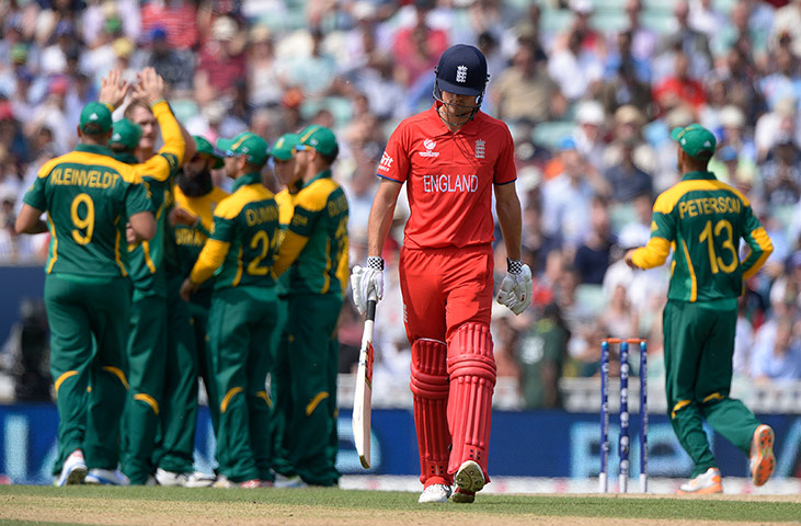 tom cricket: Captain Cook is out