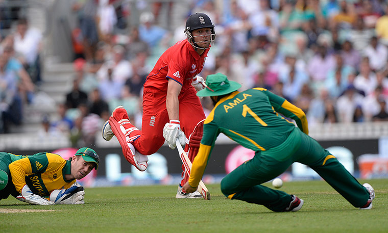 tom cricket: Jonathon Trott 