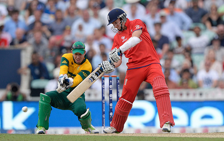tom cricket: Joe Root square cuts at Duminy