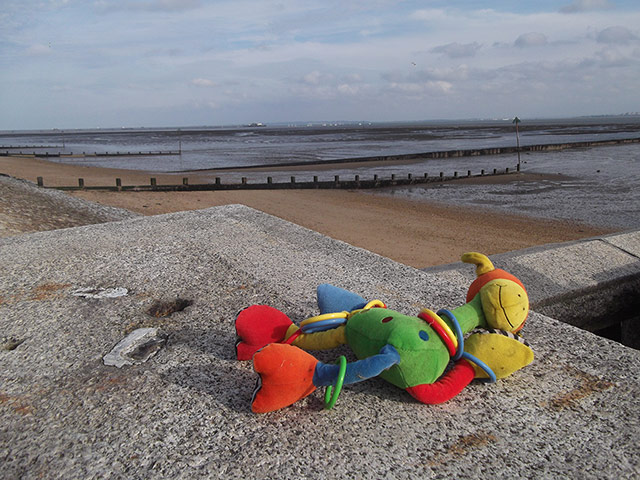 Your Pictures - Lost: Your Pictures - Lost