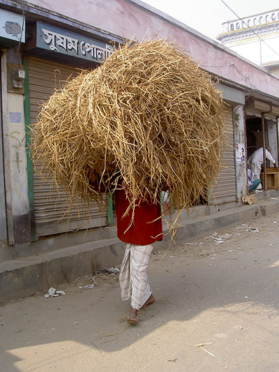 Your Pictures - Lost: Your Pictures - Lost