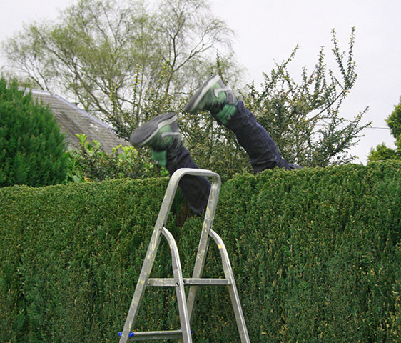 Your Pictures - Lost: Your Pictures - Lost