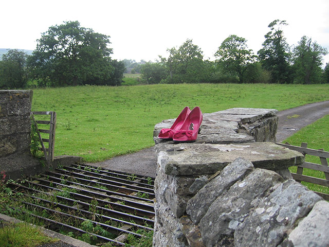 Your Pictures - Lost: Your Pictures - Lost