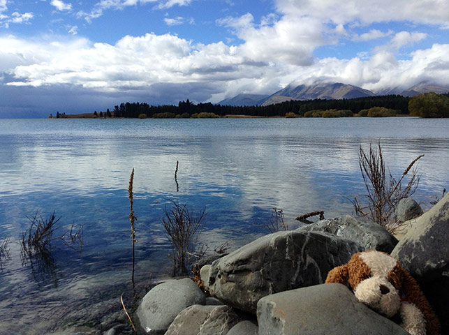 Your Pictures - Lost: Your Pictures - Lost