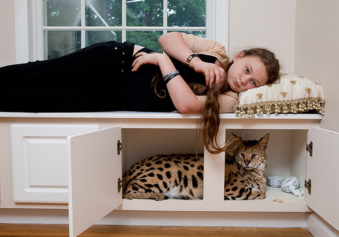 Big Picture - Amelia : Big Picture - Amelia's world