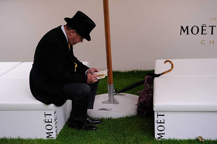 Tom's Ladies day: Looking through the racecard before racing