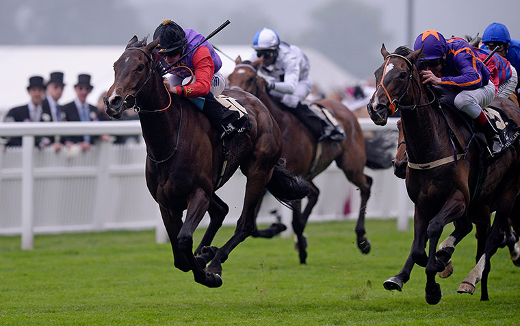 Tom's Ladies day: Estimate ridden by Ryan Moore wins the Gold Cup 