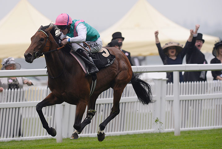 Tom's Ladies day: Spectators cheer on Riposte to victory in the 2nd race