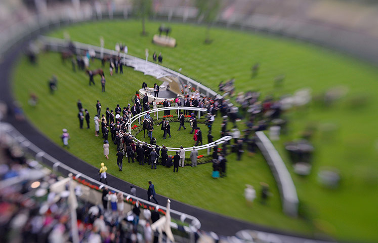 Tom's Ladies day: After the first race No Nay Never enters the winners enclosure