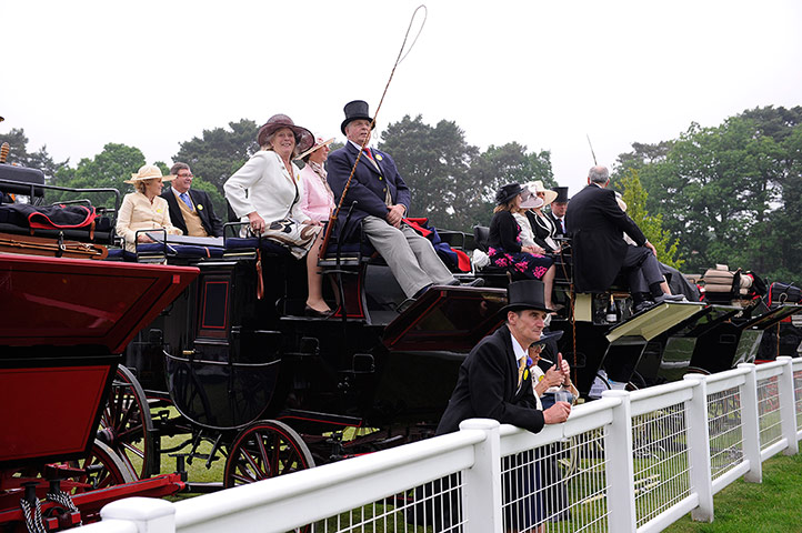 Tom's Ladies day: Watching the action from horse drawn carriages