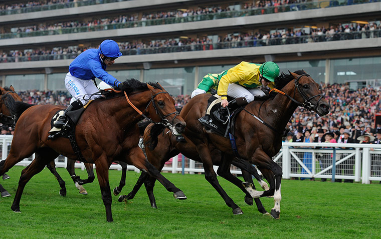 Tom's Ladies day: Roca Tumu edges past Tarikhi 