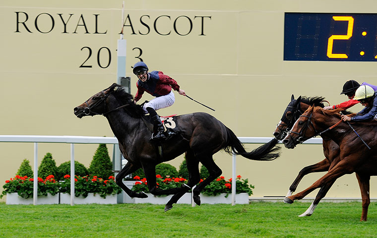 Tom's Ladies day: Martin Harley on Elidor celebrates victory in the final race
