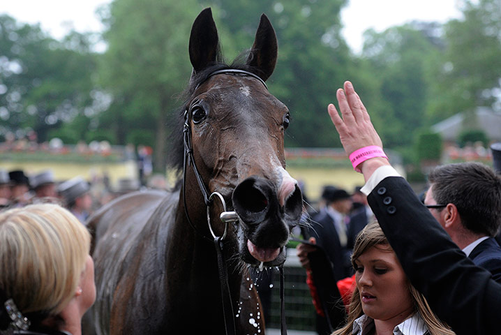 Tom's Ladies day: A happy Estimate after she won the Gold Cup