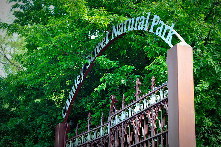 Camley Street: Camley Street Natural Park (London Wildlife Trust) 