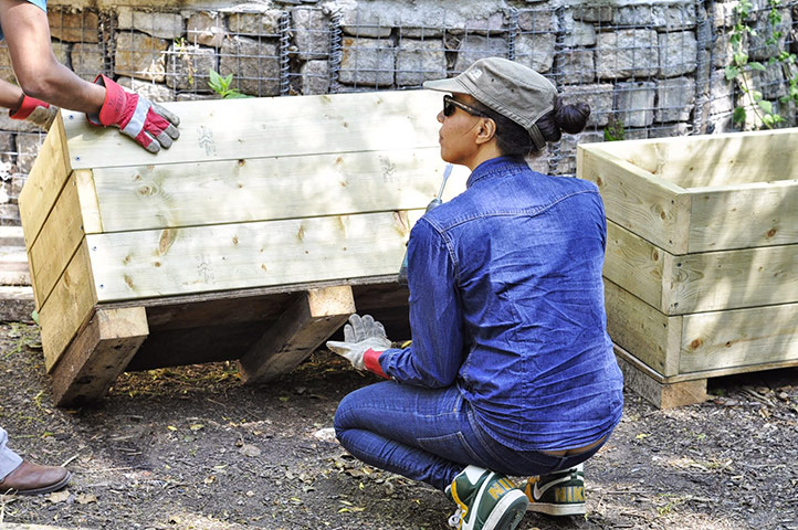 Camley Street : Volunteers at Camley Street Natural Park