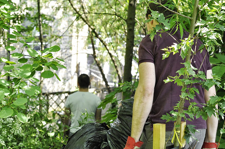Camley Street : Volunteers working at Camley Street Natural Park