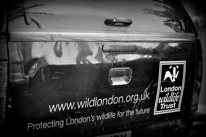 Camley Street : Camley Street Natural Park managed by London Wildlife Trust