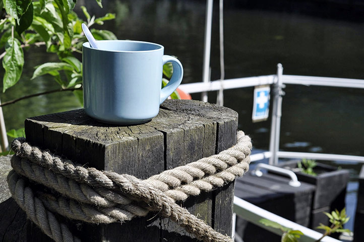 Camley Street : Camley Street Natural Park 