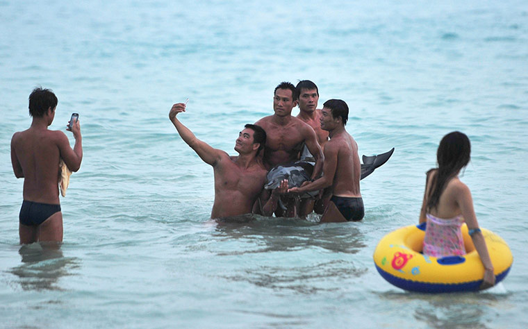 Week in Wildlife: stranded dolphin, Sanya City, China 